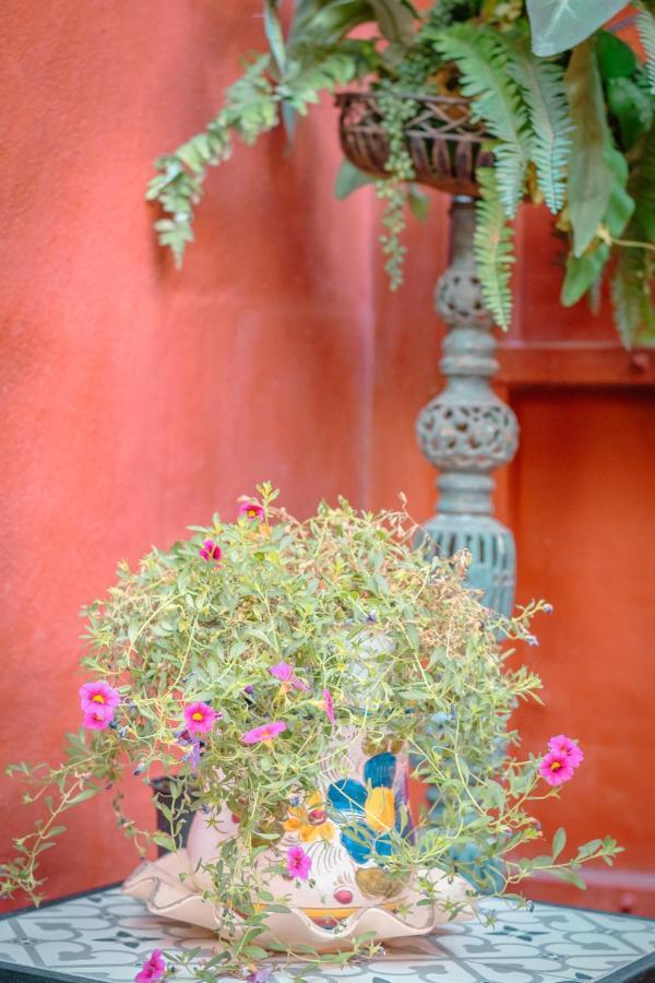 Flatguest Casa Del Sol - Terrace - Parking Villa Las Palmas de Gran Canaria Exterior photo